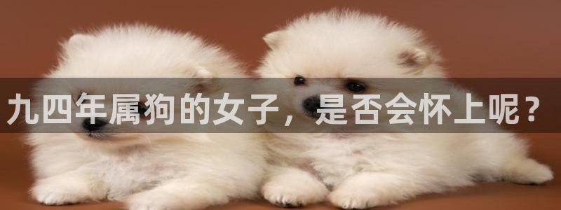 摩根娱乐.ccm：九四年属狗的女子，是否会怀上呢？