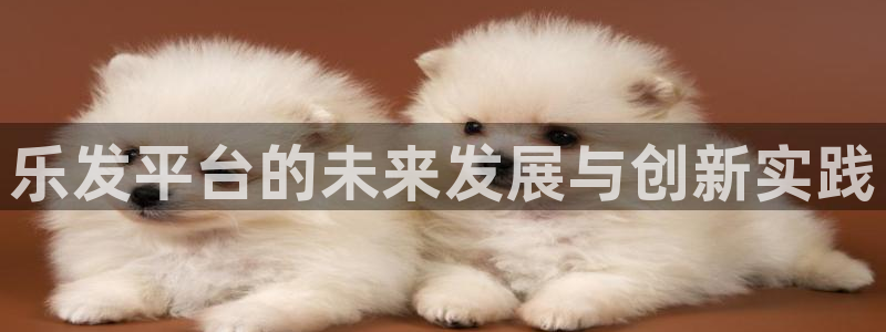 摩根娱乐.com：乐发平台的未来发展与创新实践