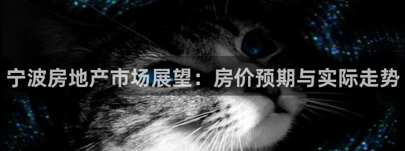 摩根娱乐加拿大下载：宁波房地产市场展望：房价预期与实际走势