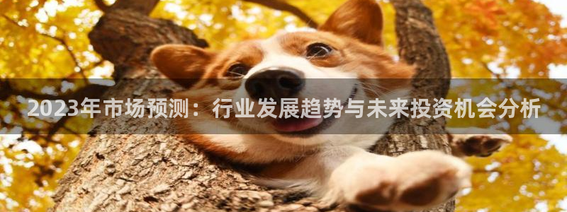 壹号top娱乐：2023年市场预测：行业发展趋势与未来投资机会分析