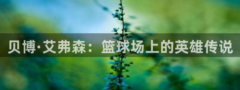 摩根娱乐.ccm：贝博·艾弗森：篮球场上的英雄传说