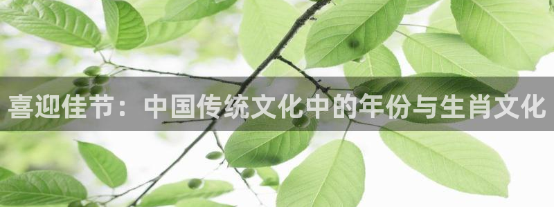 壹号app下载：喜迎佳节：中国传统文化中的年份与生肖文化