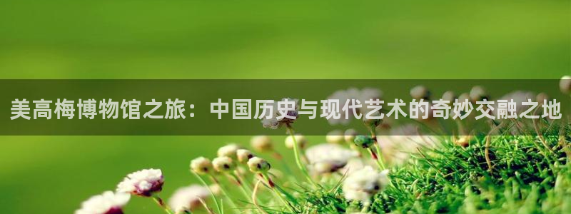 壹号平台下载安装：美高梅博物馆之旅：中国历史与现代艺术的奇妙交融之地