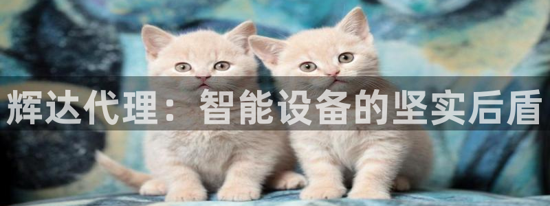 摩根娱乐app下载官网：辉达代理：智能设备的坚实后盾