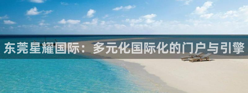 下载摩根娱乐app：东莞星耀国际：多元化国际化的门户与引擎
