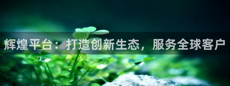 壹号注册入口app下载：辉煌平台：打造创新生态，服务全球客户