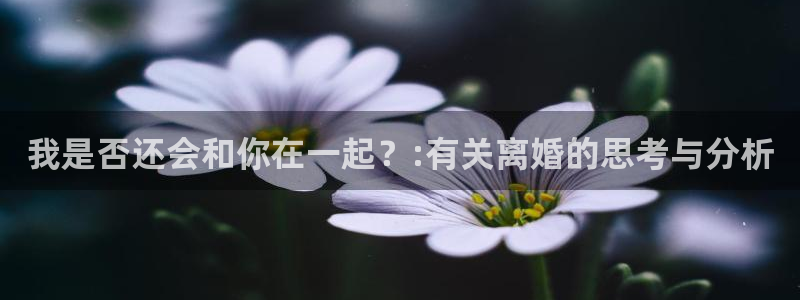 摩根娱乐平台官网登录入口：我是否还会和你在一起？:有关离婚的思考与分析
