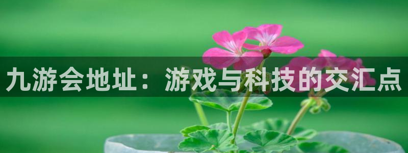 南宫摩根娱乐官网版：九游会地址：游戏与科技的交汇点