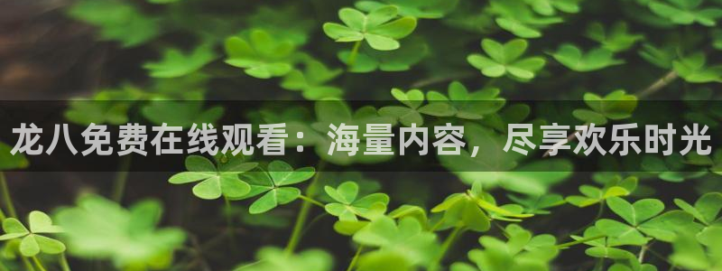 摩根娱乐com：龙八免费在线观看：海量内容，尽享欢乐时光