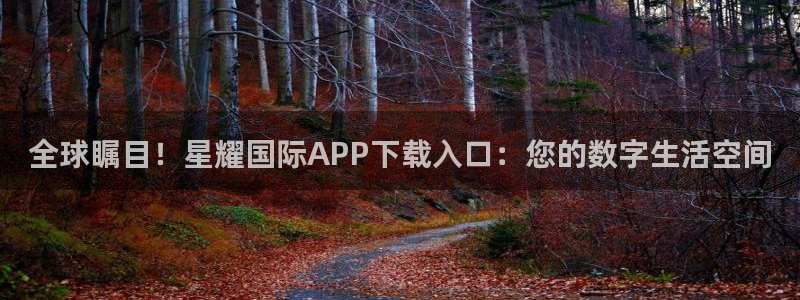 摩根娱乐平台官方网站：全球瞩目！星耀国际APP下载入口：您的数字生活空间
