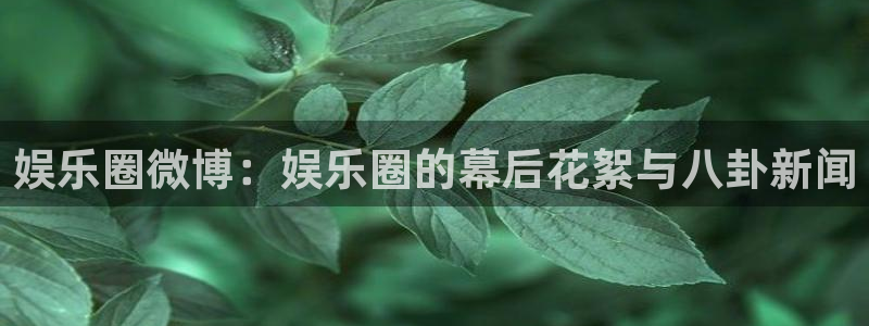摩根娱乐ccmpc：娱乐圈微博：娱乐圈的幕后花絮与八卦新闻