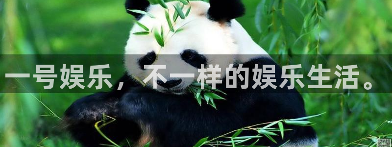 摩根娱乐注册入口：一号娱乐，不一样的娱乐生活。