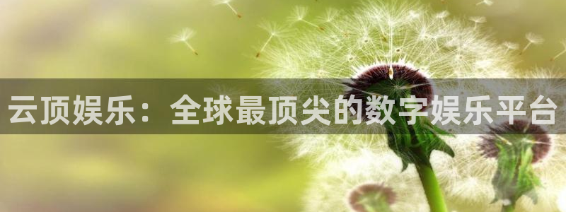 摩根娱乐注册入口：云顶娱乐：全球最顶尖的数字娱乐平台