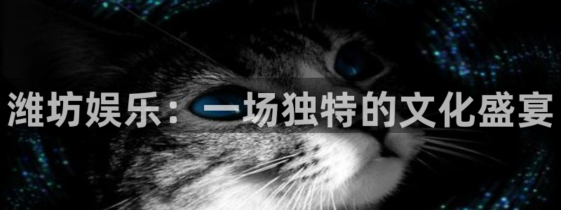 摩根娱乐平台：潍坊娱乐：一场独特的文化盛宴