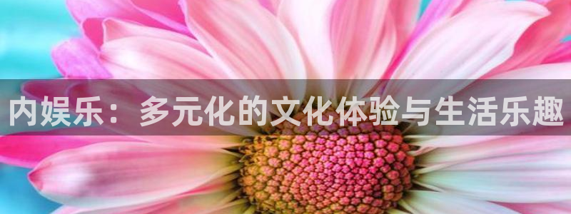 摩根娱乐平台官网登录入口：内娱乐：多元化的文化体验与生活乐趣