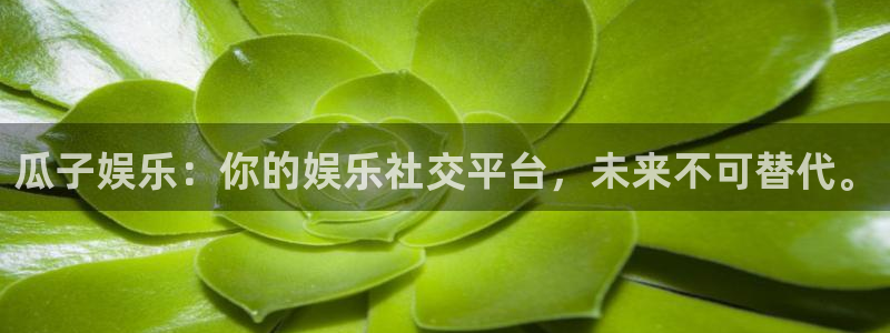 壹号电子娱乐app下载官网：瓜子娱乐：你的娱乐社交平台，未来不可替代。