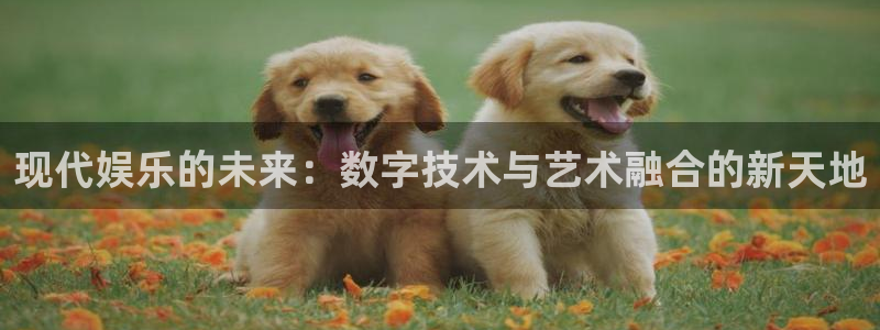 摩根娱乐下载链接：现代娱乐的未来：数字技术与艺术融合的新天地