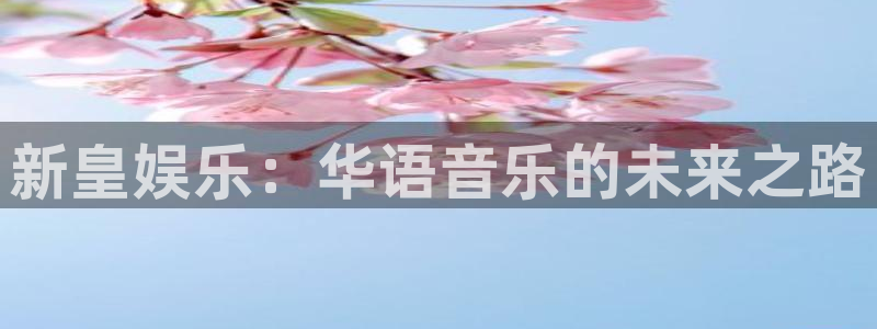 摩根娱乐能退款吗：新皇娱乐：华语音乐的未来之路