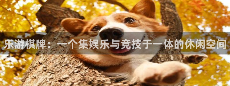 壹号平台app下载安装：乐游棋牌：一个集娱乐与竞技于一体的休闲空间