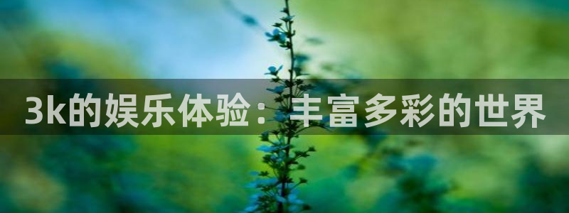 电子游戏摩根娱乐：3k的娱乐体验：丰富多彩的世界