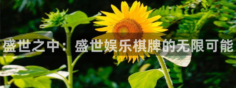 摩根娱乐加拿大官网：盛世之中：盛世娱乐棋牌的无限可能
