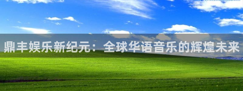 摩根娱乐app最新版怎么下载苹果：鼎丰娱乐新纪元：全球华语音乐的辉煌未来