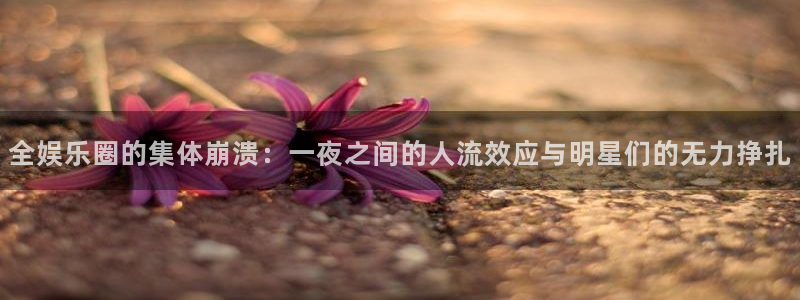 摩根娱乐可靠吗：全娱乐圈的集体崩溃：一夜之间的人流效应与明星们的无力挣扎