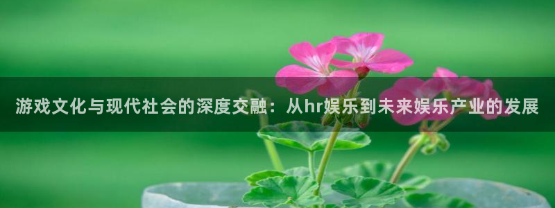摩根娱乐下载链接是多少：游戏文化与现代社会的深度交融：从hr娱乐到未来娱乐产业的发展