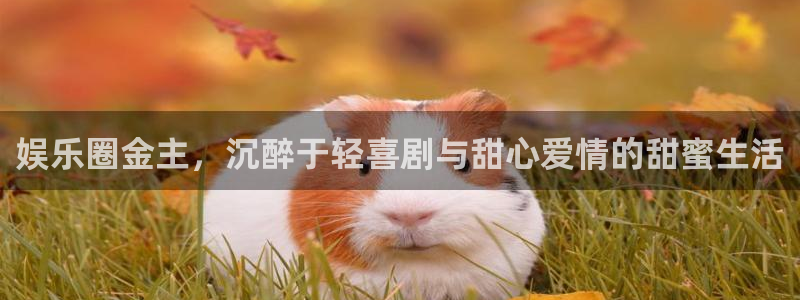 壹号app官方登录入口下载：娱乐圈金主，沉醉于轻喜剧与甜心爱情的甜蜜生活