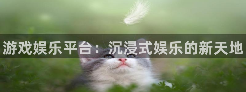 摩根娱乐app官网下载：游戏娱乐平台：沉浸式娱乐的新天地