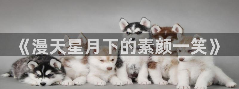 摩根娱乐平台官网版最新：《漫天星月下的素颜一笑》