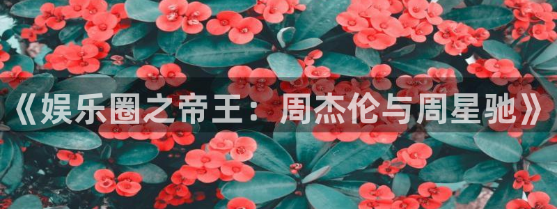 壹号app下载苹果