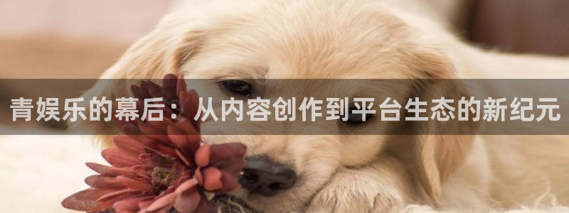 摩根娱乐吧