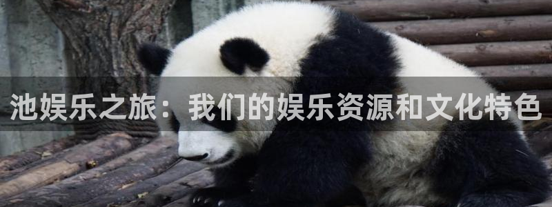 摩根娱乐账号注册入口